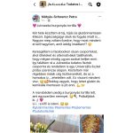  Julcseeka- Gabonamentes univerzális lisztkeverék ( Gluténmentes, Vegan  ) 1kg